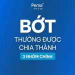 Bớt thường được chia thành 3 nhóm chính
